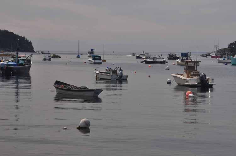 cove with boats